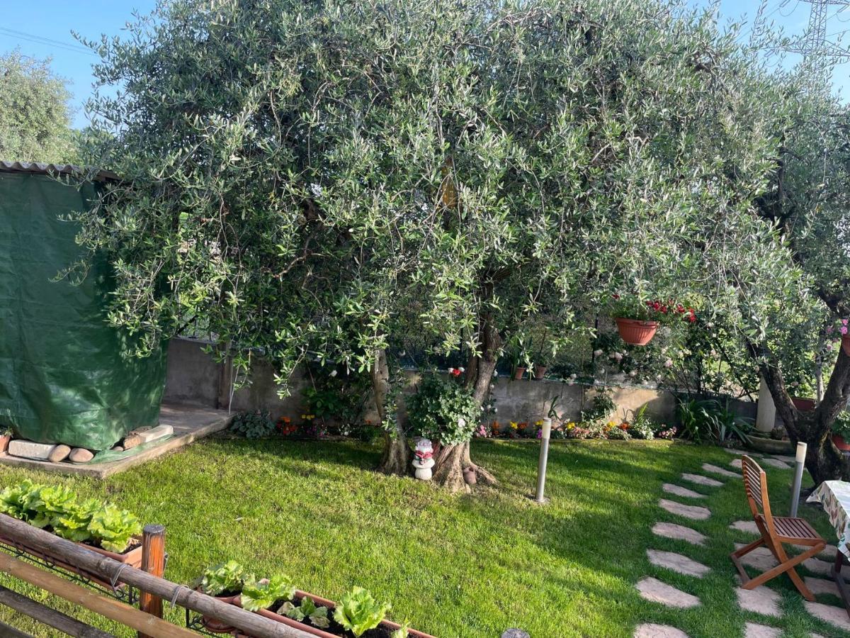 Casa Vacanze Collina Del Lago Pastrengo Exterior photo